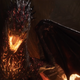A dragon, because hey why not?